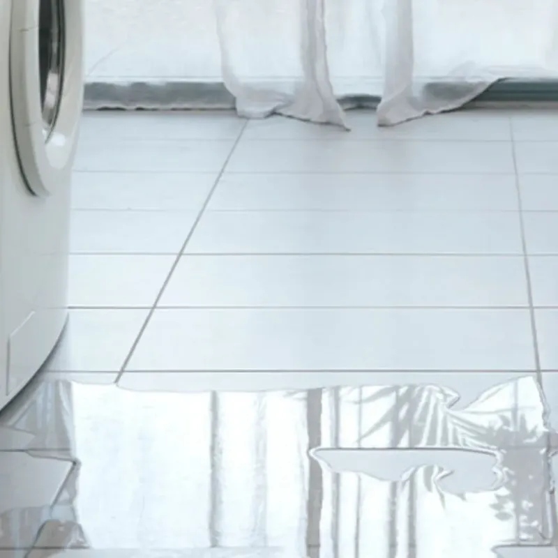 Appliance Leak Cleanup in Hamilton, MT